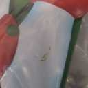 Solar Christmas Lights Outdoor Garden Stakes, 30in Metal Snowman Yard Signs with LED String Lights, Waterproof Christmas Decor for Xmas Lawn Pathway Patio Party Winter (Snowman)