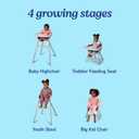 Graco Ready2Dine 4-in-1 Highchair, Portable High Chair with 4 Growing Stages, Foldable Baby High Chair, Toddler Feeding Seat, Youth Stool, and Big Kid Seat, Walker