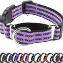 Hikiko Martingale Dog Collars Reflective Nylon Dog Collar with Quick Release Buckle Adjustable Training No Slip Dog Collar (Large, Lavender)