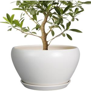 Planter for Indoor Plants 13 Inch - Ceramic Plant Pot with Drainage Hole and Saucer Decorative Round Large Planter Pot for Plants Outdoor Flower Pot for Room Decor White