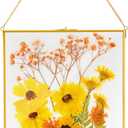 AVLA Brass Hanging Photo Frame, 11x14 Inch Double Glass Floating Display for Pressed Flowers, Large Picture Artwork, Golden Gallery Wall for Specimen, Certificate, Home Decor