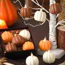 Hiboom 12 Pcs Fall Resin Pumpkin Ornaments for Tree Rustic Vintage Resin Pumpkins, Farmhouse Thanksgiving Hanging Decors for Autumn Thanksgiving Harvest Party Decorations(Bright Color, Neutral)