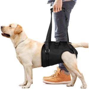 Dog Lift Harness Dog Sling for Large Dogs Hind Leg, Dog Support Harness for Rear Legs Help Rehabilitate The Hind Limbs of Elderly Dogs with Weak Hind Legs Disabilities and Injuries Dog Support Harness (Medium)