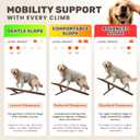 Foldable Dog Ramp for Couch - Portable Dog Ramps for Bed