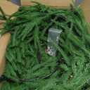 Christmas Wreaths for Front Door 24 Inch Norfolk Pine Wreath for All Seasons Artificial Green Wreath Holiday Decoration for Indoor Outdoor Home Decor