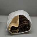 Natural Wood Beaded Seat Cover Massaging Cooling Cushion for Car Truck. Keeps The Back from Getting Sweaty While Driving. Makes Driving More Bearable and Less Painful On Long Trips (Everyday Vechicles (Pickup, SUV, Sedan, MPV))