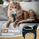 FAYOGOO Cat Harness and Leash Set for Walking Escape Proof, Kitten Adjustable Small Large Cat Lightweight Soft Vest Harness and Leash, M