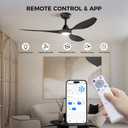 Roomratv Ceiling Fans with Lights and Remote Control,Quiet Noiseless Reversible DC Motor,6 Speeds,Timers, 3 CCT, Indoor Use, Plastic Blades,52 Inch Black Ceiling Fan Smart APP Control for Living Room