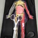 Dan&Darci Human Anatomy Squishy Body Model - Science Kits for Kids Ages 4-8 - STEM Toys for 4 5 6 7 8 Year Old Boy Birthday Gift - Learning Educational Toys for Ages 5-7 Boys Gifts - Skeleton Parts