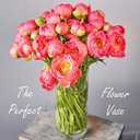 CYS EXCEL Cylinder Clear Glass Vase (H-16" D-6") | Multiple Size Choices Glass Flower Vase Centerpieces | Hurricane Floating Candle Holder Vase