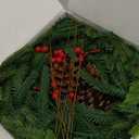 Christmas Garland Decorations Indoor Decor: 6 FT Artificial Realistic Pine Garland Green Faux Greenery Garland for Mantle Staircase Table Wall Outdoor Christmas Decorations (Garland With Pine Cone 1pc)