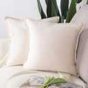 MADIZZ Set of 2 Super Soft Velvet Decorative Throw Pillow Covers 18x18 inch Beige Square with Fringe Luxury Style Cushion Case Pillow Shell for Sofa Bedroom