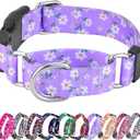 Martingale Collar for Dogs, Adjustable Soft Nylon Dog Collars with Special Design Cute Patterns for Small Medium Large Dog (Purple Flower)