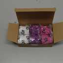 WePet Pet Wrap, Self-Adhesive, Only Sticks to Itself, Non-Woven Tape for Dog Legs, Paws, Wounds, First Aid Cohesive Gauze for Horse, Cat, Bird, Animal, 6 Rolls, 2 Inch, Pawprints B