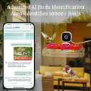 Smart Window Hummingbird Feeder with Camera & AI, 2K HD Live View, Ant Moat & Secure Suction Mount - The Ultimate Gift for Humming Bird Lovers