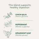 Traditional Medicinals Tea, Organic Triple Mint - Supports Healthy Digestion - Kosher, Non-GMO, Caffeine-Free - 16 Tea Bags (EXP 02/02/28)