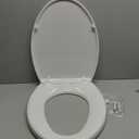 TOTO Transitional SoftClose SS114#01 Elongated Soft Close SEAT, Cotton White