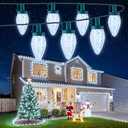 Brightown C9 Christmas String Lights White, 66ft 50 LED Faceted Christmas Lights on Green Wire, Large Bulb Strawberry String Lights for House Roof Roofline Christmas Tree Party Outdoor