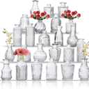 Glass Bud Vase Set of 24, Small Flower Vases, Glass Vases for Centerpieces, Vintage Home Table Decorations Bud Vases (24 Pcs, Clear)
