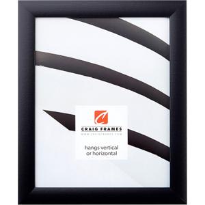 Craig Frames 1WB3BK 21 by 36-Inch Picture Frame, Smooth Finish, 1-Inch Wide, Black