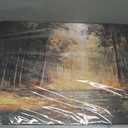 Canvas Landscape Natural Wall Art Decor Yellow Forest Wall Art 20" x 40"