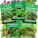5 Herb Seeds Variety Kit, Oregano, Cilantro, Parsley, Basil, Chives