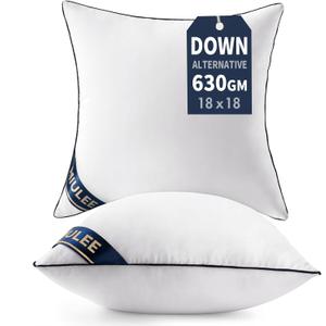 MIULEE 18x18 Pillow Inserts Set of 2 Throw Pillows 18 Inch Premium Down Alternative Pillow Inserts Decorative Pillow Stuffer for Sofa, Couch (18x18 inch, Set of 2)