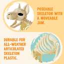 JOYIN 34” Halloween German Shepherd Skeleton, Life Size Plastic Dog Skeleton with Movable Posable Joints, Realistic Animal Bones for Haunted House, Graveyard, Indoor Outdoor Garden Party Decor
