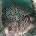 Square 4'x4' Netting Cover 3.3FT Tall Crop Cage Pest Guard Cover for Vegetables Fruits Durable Plant Garden Net with 4 Stakes