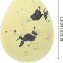 PRETYZOOM 100Pcs Speckled Eggs Hatching Dinosaur Eggs Children's Day DIY Crafts Easter Eggs Ornaments for Decor, 0.6 x 0.7 Inch