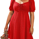 Pinup Fashion Easter Dress Plus Size Women Spring Casual Short Light Blue Eyelet Puff Sleeve A Line Babydoll Cute Mini Sundresses 16W