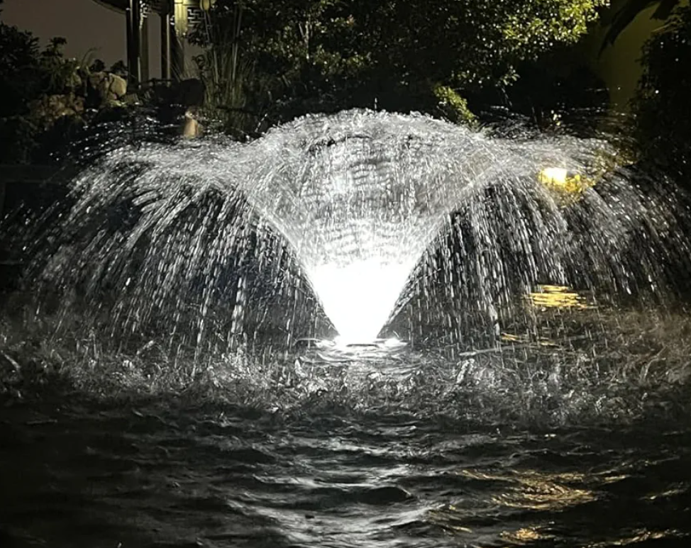 Pond Fountain Aerator,10000 GPH, 8 White LED Lights, Constant and Gradient Dual Modes, time Controller.35’ Power Cord, Classic Crown Spray Pattern 4’x10’for Pond, Lake, Swimming Pool & Water Garden