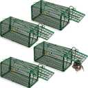 Qualirey 4 Pcs Humane Rat Trap Chipmunk Squirrel Cage Trap 4.33 x 4.33 x 9.06 Inches Foldable Rodent for Small Live Animal Voles Hamsters Catch and Release for Kitchen Yard Garage (Green)