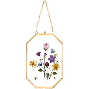 Pressed Flower Frames, Glass Floating Frames for Display Dried Plant Specimen Picture, Hanging Brass Photo Frame with Chain, Double Clear Glass, Vintage Wall Decor, Octagon, Gold, 4x6 Inches | Floating Frames for Display Dried Plant Specimen Picture