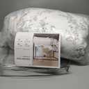 Beach Comforter Print Queen Size Soft 3 Pieces Lightweight 3D Ocean Sea Shell Starfish Beach Theme Beach Queen Comforter Set for All Seasons 1 Comforter and 2 Pillowcases (Coastal, Queen) (Queen(90"x90"))