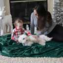 Bedsure GentleSoft Fleece Blanket Twin Size Emerald Green - 300GSM Lightweight Plush Fuzzy Cozy Soft Warm Blanket for Bed, Sofa, Couch, Travel, Camping, 60x80 inches