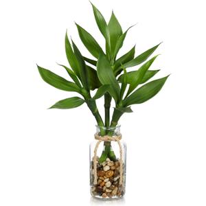 Artificial Lucky Bamboo Plant 17.3 Fake Plant in Glass Vase for Home Indoor Table Centerpieces Desk Office Living Room Bedroom Decoration