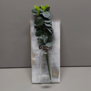 2 Pack Wood Glass Wall Vases and Plants Artificial, Indoor Wood Hanging Vase, Modern Farmhouse Wall Decor for Bathroom Office and Living Room, Farmhouse Sconces Wall Decor (White)