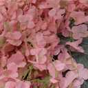 24 Pack Pink Wisteria Hanging Flowers Garland, 3.77 Feet Artificial Flower Vines, Fake Wisteria, Artificial Vines Hanging Garland for Backdrop Outdoor Yard Garden Decor