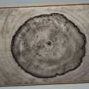 Tree Ring Wall Art Set of 3, 24"x36" Large Modern Wood Stump Wall Decor, Abstract Black and White Wall Painting, Neutral Nature Art Print for Living Room, Bedroom, Office, Dinning Room