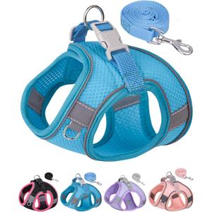 Dog Harness for Small Medium Sized Dog, Step in Puppy Harness and Leash Set Training Walking (Blue, S)