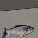 Potaroma Cat Toys Flopping Fish with Catnip, Moving Kitten Kicker, Floppy Wiggle Carp for Small Dogs, Interactive Motion Kitty Exercise, 10.5 Inches