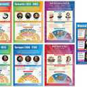 Music History Classroom Posters, Set of 7, EXTRA LARGE 33" x 23.5" | Laminated, Music Middle & High School Class Decoration, Wall Charts by Daydream Education