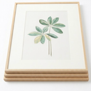 Framed Boho Sage Green Botanical Wall Art for Living Room, Farmhouse Minimalist Plant Artwork for Walls, 4 piece Vintage Leaf Picture Prints for Bathroom Bedroom Kitchen Wall Decor, 12x16 Inch