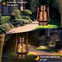 Solar Lantern Outdoor Hanging Vintage LED Waterproof Camping Light with Beautiful Graphics Landscape Decor for Yard,Patio,Porch,Lawn,Tabletop(02 - Hummingbird)