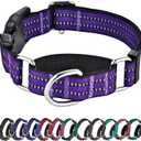 Hikiko Martingale Collar for Dogs Reflective Nylon Dog Collar with Quick Release Buckle Adjustable Training No Slip Dog Collars (Medium, Purple)