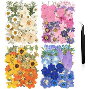 Nuanchu 200 Pcs Pressed Flowers Bulk Dried Flower for Craft Resin Mold Bookmark Scrapbooking Nail Cake White Orange Natural Pressed Dried Floral with Tweezer DIY Gift(Mixed Color,Artistic Style)