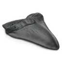 Carcharodon Megalodon Giant Shark Tooth with Serrations, Suitable for Museums, Schools, Home Collections (5.5 inch, Black)