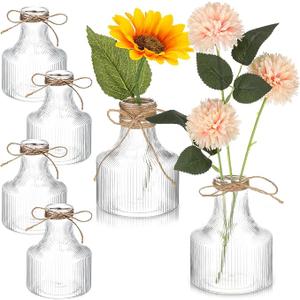 Bokon 6 Pcs 5 Inch Small Plastic Flower Bud Vases Aesthetic Centerpieces Decorative Cylinder Vase Bulk for Wedding Home Table Decorations Flower Plant Propagation with Twine (Clear)