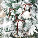 2 x Brown Velvet Ribbon Christmas Bow 5 x 7 Inches Premade Brown Bows for Christmas Tree Hanging Decorations Gift Wrapping Wreaths Crafts Outdoor Indoor Home Decor Wedding, Pack of 24